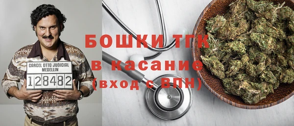 PSILOCYBIN Богородицк