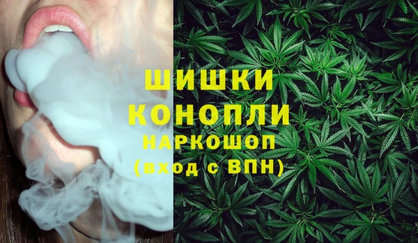 PSILOCYBIN Богородицк