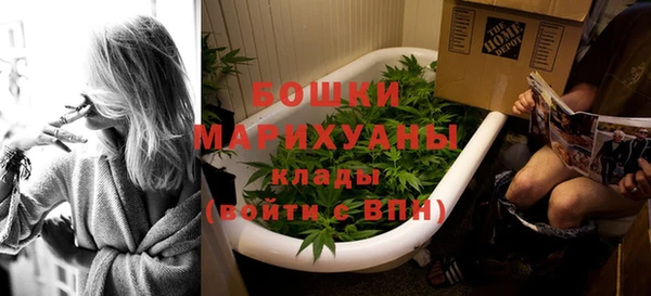 PSILOCYBIN Богородицк