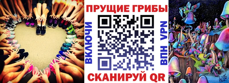 Купить  Ардатов  Галлюциногенные грибы Psilocybine cubensis 